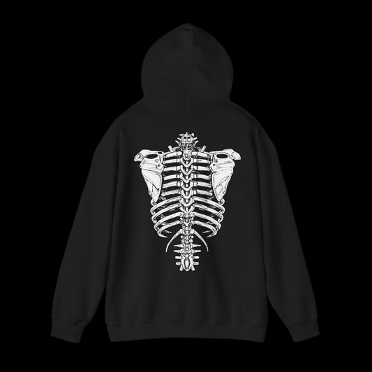 Backbone Skeleton